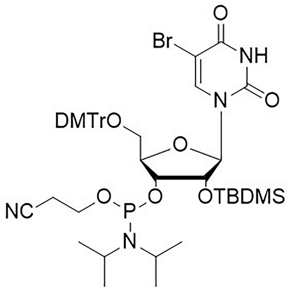 5-Br-U CE-Phosphoramidite